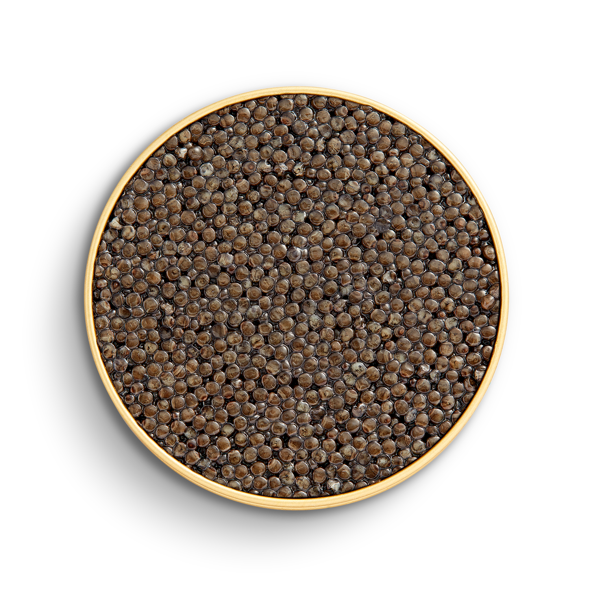 Caviar Beluga Royal – CAVIAR KASPIA