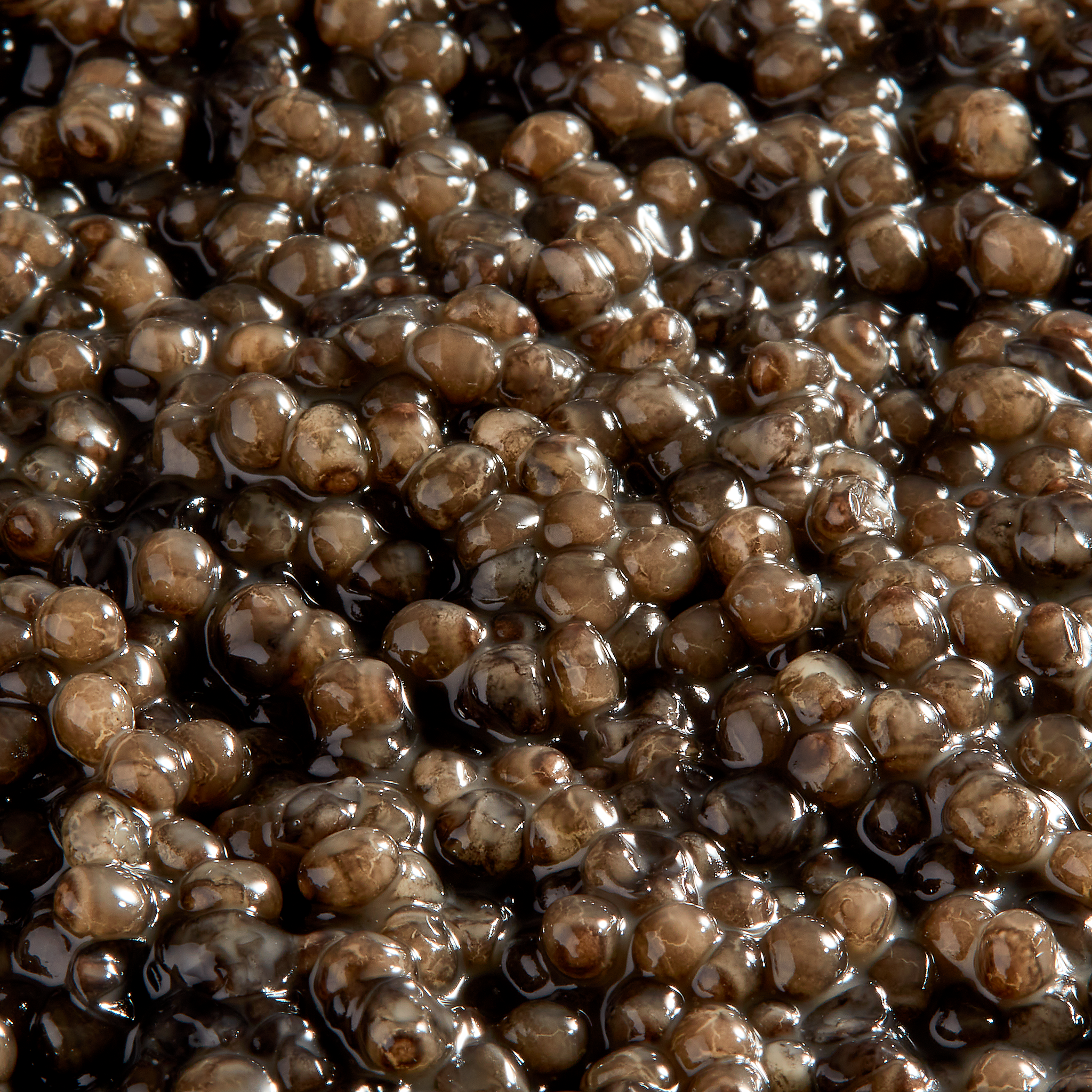 Caviar Beluga Royal